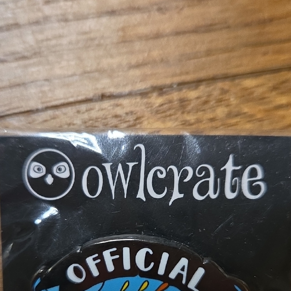 Owlcrate Phoenix Rider Club Brooch - Multicolor - Picture 2 of 4